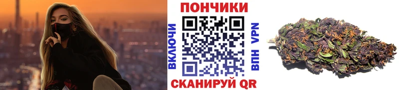 Канабис план  купить наркотик  Каменногорск 